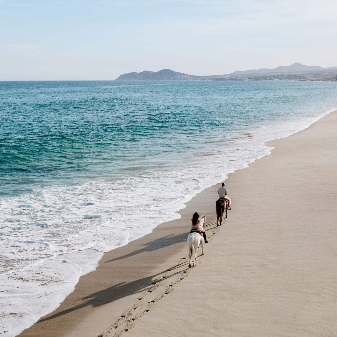 Horse ride on the beach